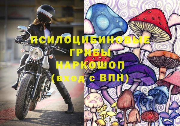 синтетический гашиш Медвежьегорск
