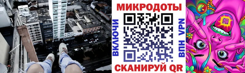 Галлюциногенные грибы Psilocybine cubensis Дно